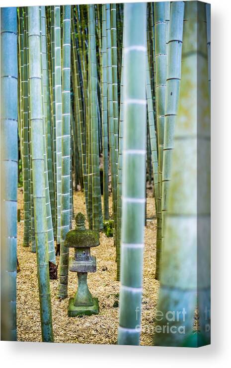 Asia Canvas Print featuring the photograph Bamboo Forest, Japan #1 by Voisin/Phanie