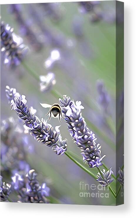 Bee Canvas Print featuring the photograph Bee #1 by Andrew Michael