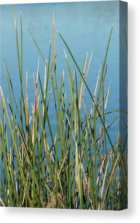 Water Canvas Print featuring the photograph By the Water #1 by Laurel Powell