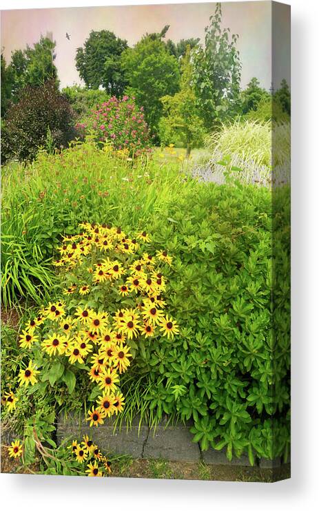 Flowers Canvas Print featuring the photograph Daisy Days #1 by Diana Angstadt