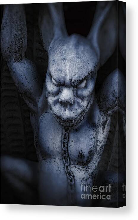 Demon Canvas Print featuring the photograph Demon #1 by HD Connelly