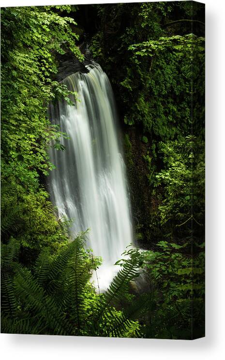 Waterfall Canvas Print featuring the photograph Forest Waterfall #1 by Chris McKenna