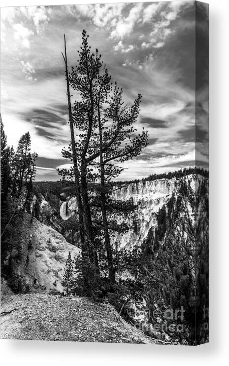 Mel Steinhauer Canvas Print featuring the photograph Grand Canyon Of The Yellowstone BW by Mel Steinhauer