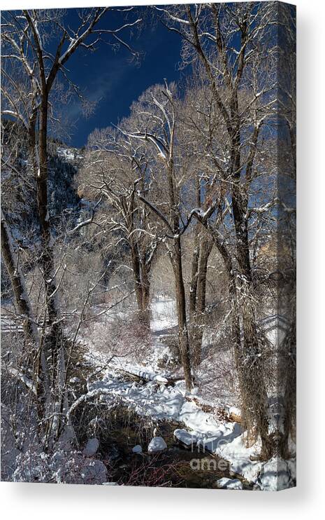 Glenwood Canyon Canvas Print featuring the photograph Grizzly Creek #1 by Jim West