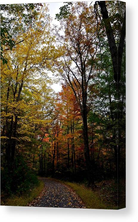 #mohonk Preserve Canvas Print featuring the photograph Inside The Color #1 by Cornelia DeDona