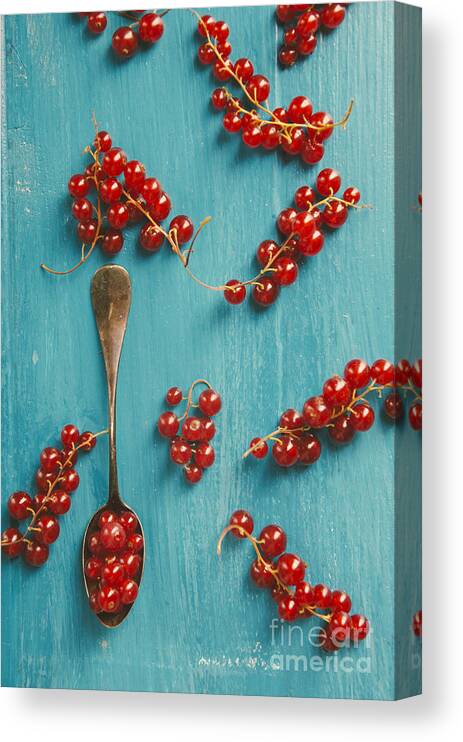 Red Canvas Print featuring the photograph Red Currant #1 by Jelena Jovanovic