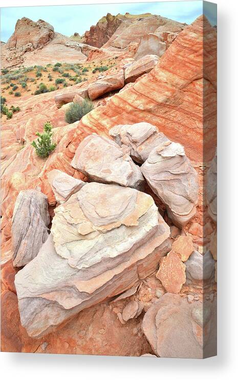Valley Of Fire State Park Canvas Print featuring the photograph Sandstone Cove in Valley of Fire #1 by Ray Mathis