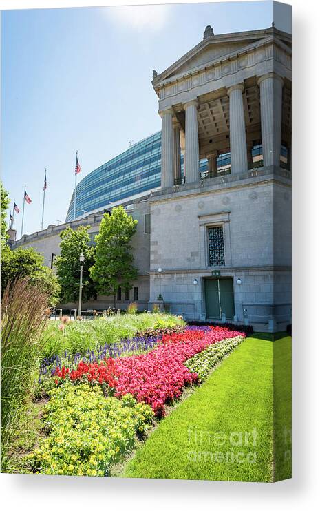 Chicago Canvas Print featuring the photograph Soldier Field by David Levin