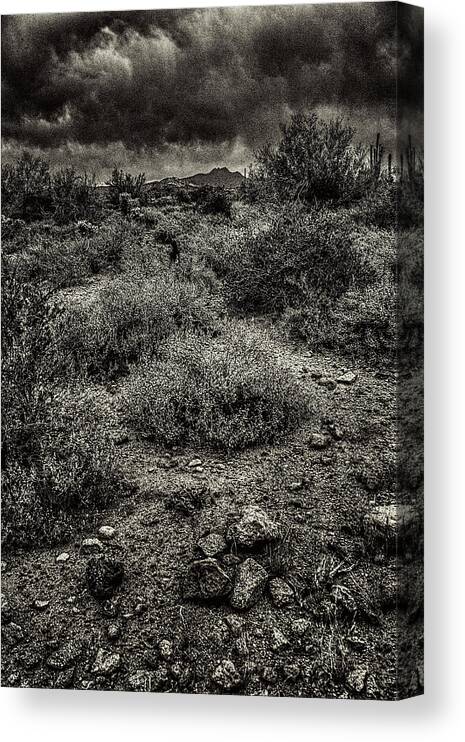 Arizona Canvas Print featuring the photograph Storm Clouds over the Sonoran Desert in Spring #1 by Roger Passman