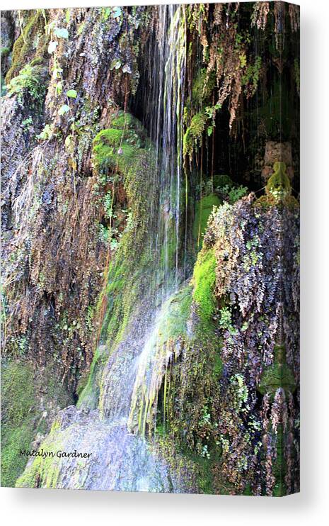 Waterfall Canvas Print featuring the photograph Tonto Waterfall Cave #1 by Matalyn Gardner