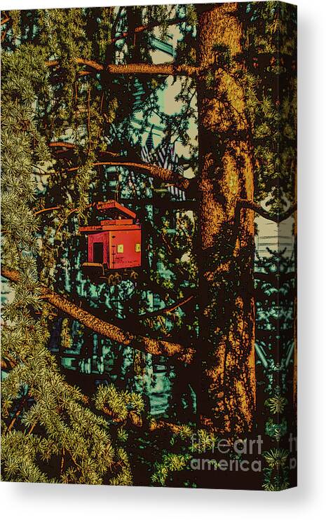 Birdhouse Canvas Print featuring the photograph Train Bird House #1 by Sandy Moulder