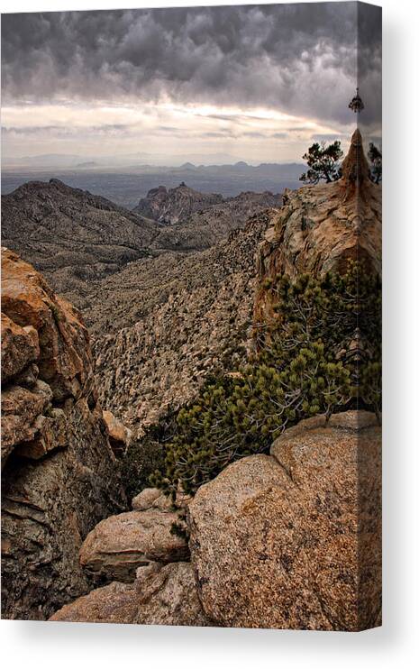 Mount Lemmon Canvas Print featuring the photograph Western Wilderness II #1 by Leda Robertson