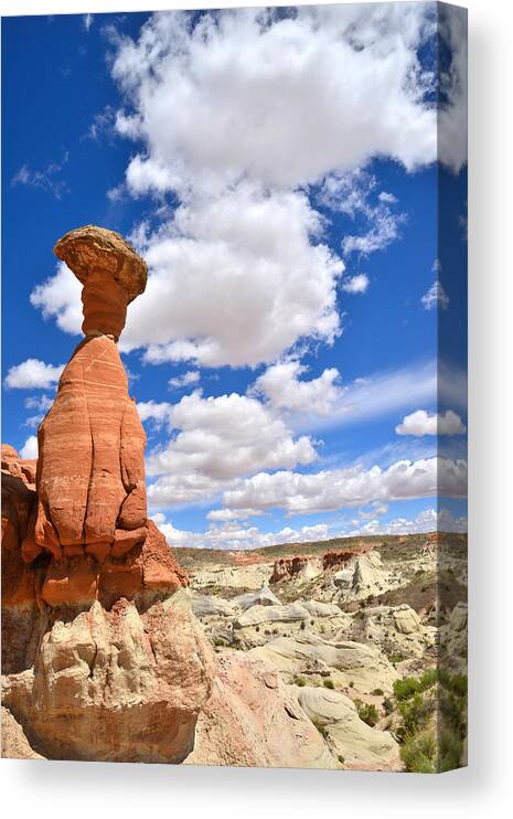 Grand Staircase Escalante National Monument Canvas Print featuring the photograph Woody #2 by Ray Mathis