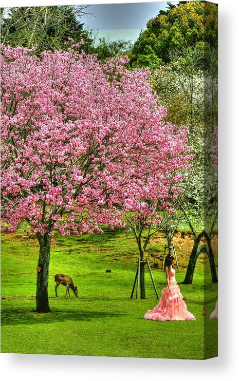 Nara Japan Canvas Print featuring the photograph Nara Japan #12 by Paul James Bannerman