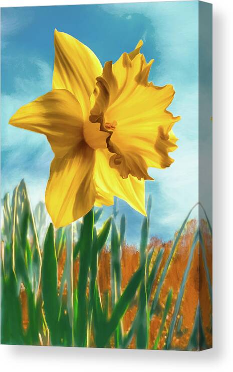  Canvas Print featuring the digital art Daffodil by Bill Johnson