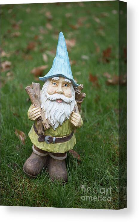 Gnome Canvas Print featuring the photograph Garden Gnome #2 by Edward Fielding