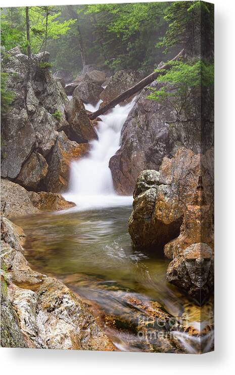 New England Waterfall Canvas Print featuring the photograph Glen Ellis River, Jackson, New Hampshire #2 by Dawna Moore Photography