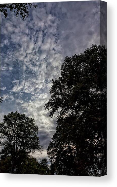 Sunset Clouds And Trees Canvas Print featuring the photograph Sunset Clouds and Trees #2 by Robert Ullmann