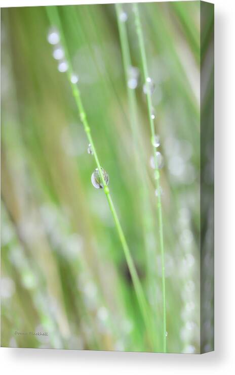 Water Canvas Print featuring the photograph Tenderness #2 by Donna Blackhall