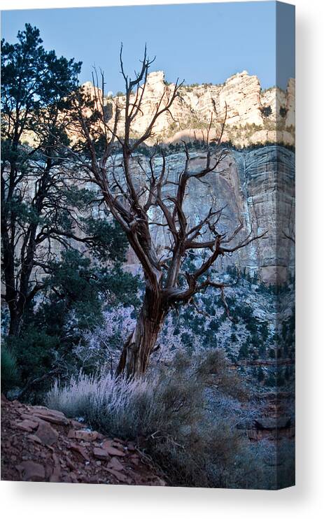 Winter Canvas Print featuring the photograph Winter at Grand Canyon #2 by Jacek Joniec