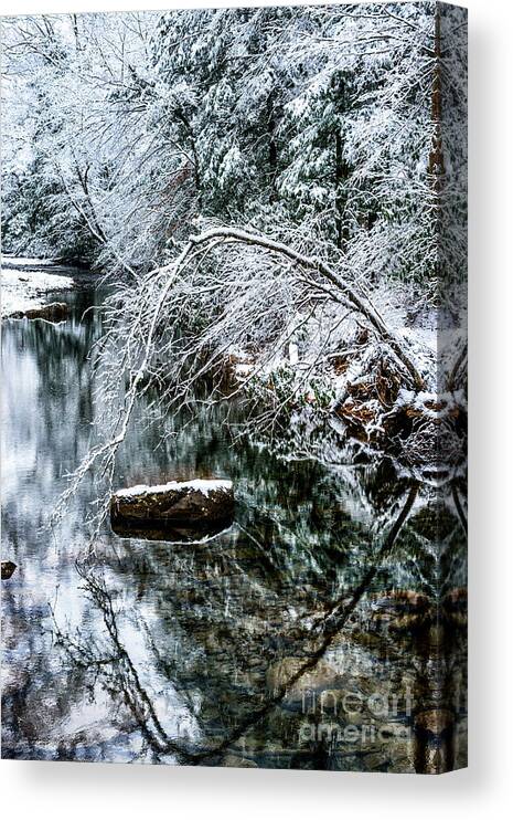 Cranberry River Canvas Print featuring the photograph Winter along Cranberry River #22 by Thomas R Fletcher