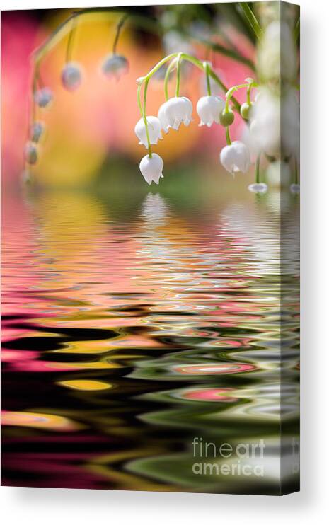 Background Canvas Print featuring the photograph Lily of the valley #5 by Kati Finell