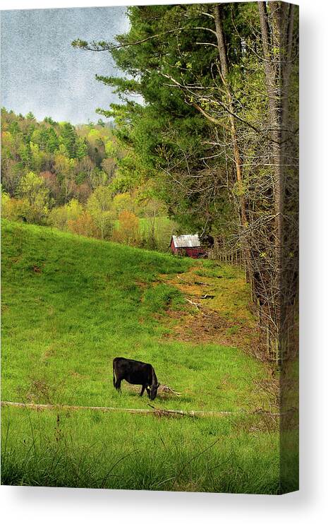 Rural Scene Canvas Print featuring the photograph A Country Morning by Mike Eingle
