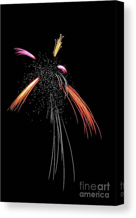 Fireworks Firework Pyrotechnic 4th July Color Colors Colorful Fire Works Canvas Print featuring the photograph A Dance of Light 4871 by Ken DePue