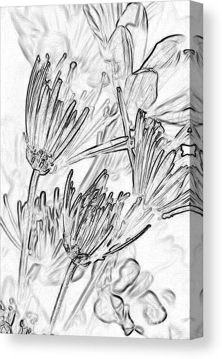 Flowers Canvas Print featuring the photograph A Flower Sketch by Julie Lueders 