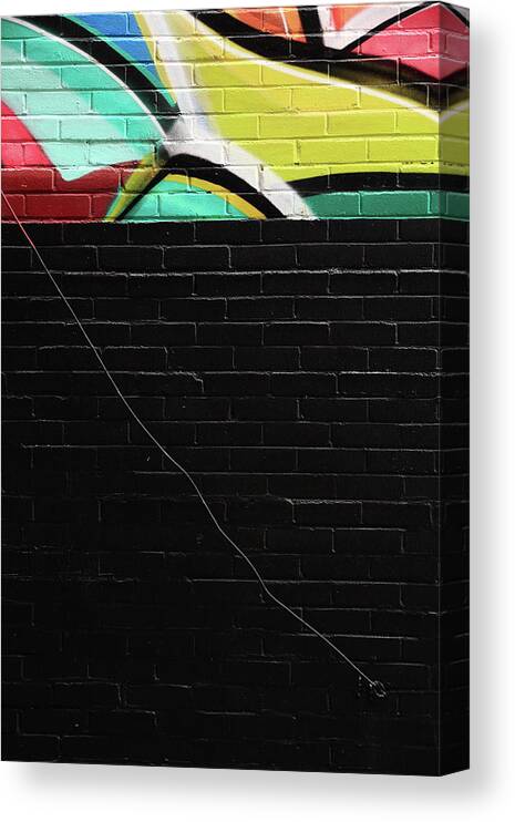 Color Canvas Print featuring the photograph A Losing Proposition by Kreddible Trout