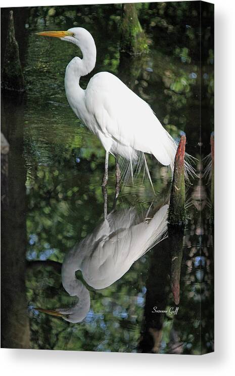 Egret Canvas Print featuring the photograph A Moment of Stillness by Suzanne Gaff