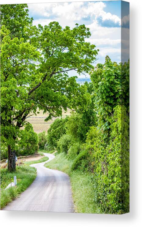 Vineyard Canvas Print featuring the photograph A road to Beaune by W Chris Fooshee