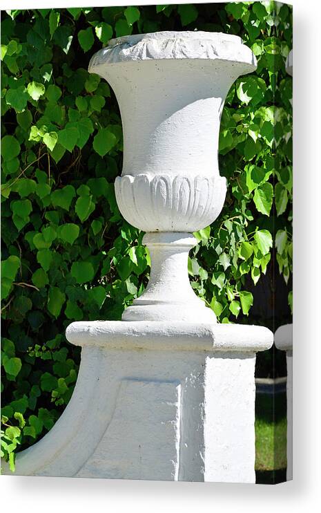 Beach Photographs Canvas Print featuring the photograph A Vase of Light and Shadows by Bruce Gourley