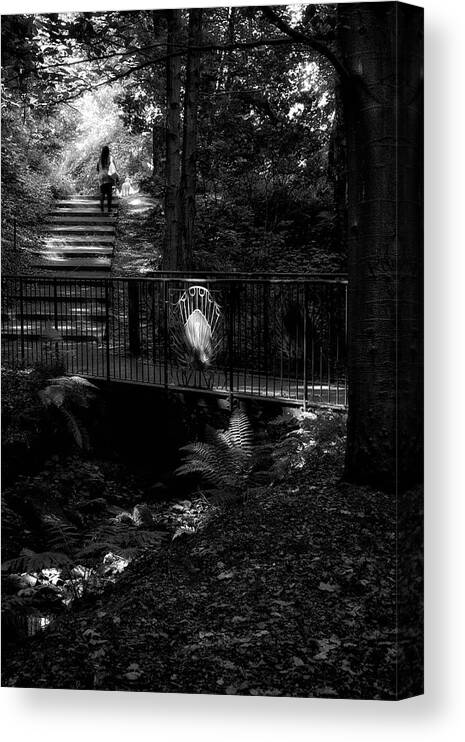 Pittencrieff Canvas Print featuring the photograph A woman walking her dog at Pittencrieff Park by Jeremy Lavender Photography