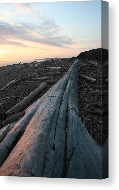 Admiralty Log Canvas Print featuring the photograph Admiralty Log by Dylan Punke