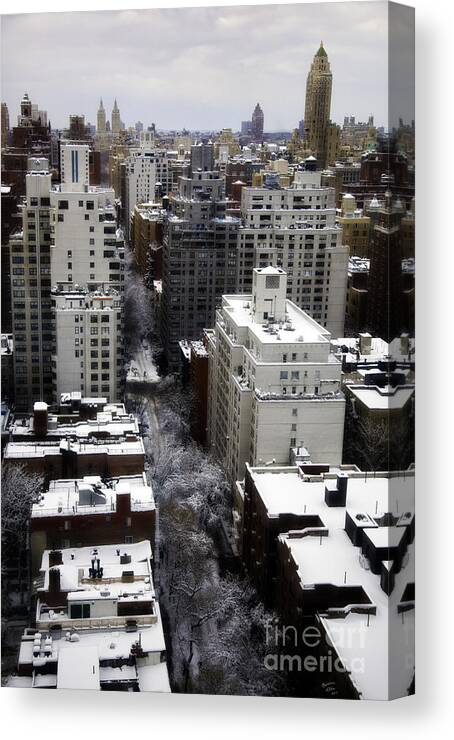 Snow Canvas Print featuring the photograph After the Snow Storm by Madeline Ellis