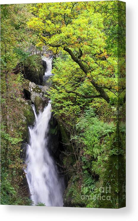 Aira Force Canvas Print featuring the photograph Aira Force #1 by Philip Preston