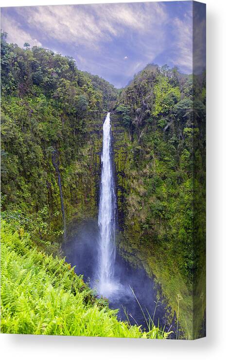 Akaka Falls Canvas Print featuring the photograph Akaka Falls by Bill and Linda Tiepelman