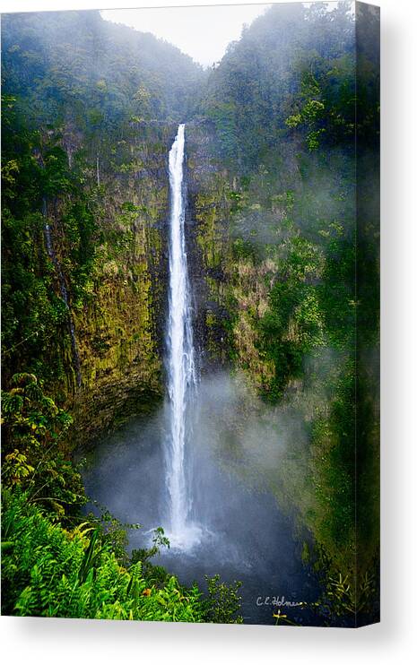 Nature Canvas Print featuring the photograph Akaka Falls by Christopher Holmes