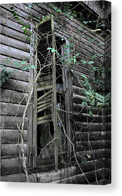 Old Home Canvas Print featuring the photograph An Old Shuttered Window by Lynn Jordan