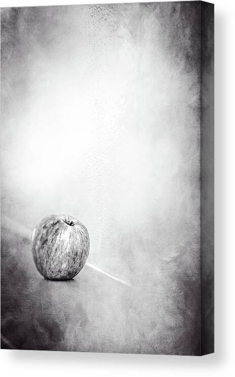 Color Canvas Print featuring the photograph Apple On The Mantel in BW by YoPedro