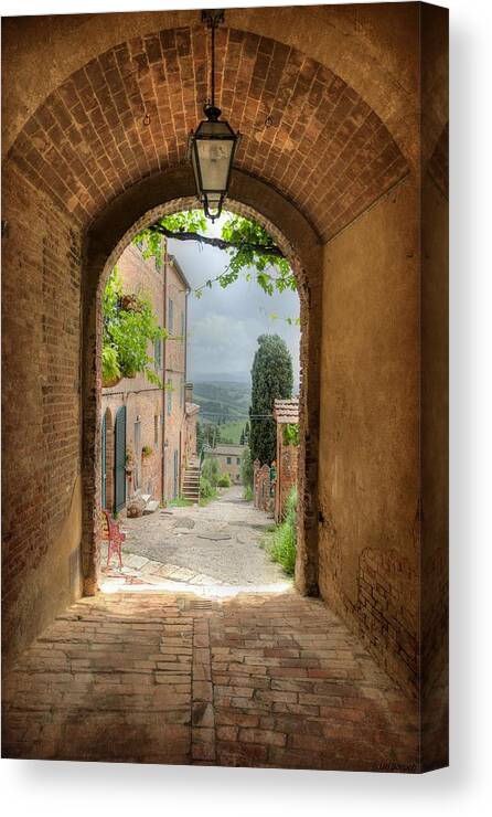 Arch Canvas Print featuring the photograph Arched View by Uri Baruch