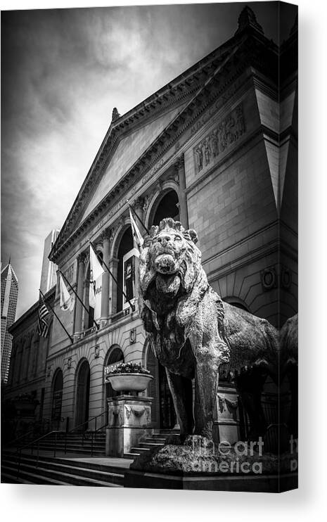 America Canvas Print featuring the photograph Art Institute of Chicago Lion Statue in Black and White by Paul Velgos