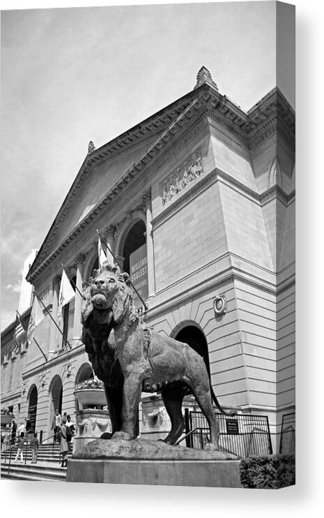 Lion Canvas Print featuring the photograph Art Institute of Chicago with Lion by Angela Siener