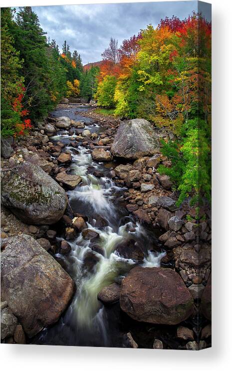 Ausable River Canvas Print featuring the photograph Ausable Autumn 2 by Mark Papke