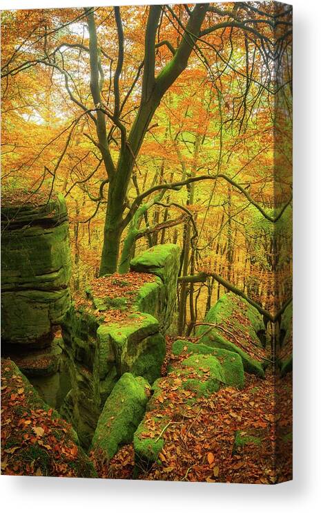 Autumn Canvas Print featuring the photograph Automnal Glow by Maciej Markiewicz