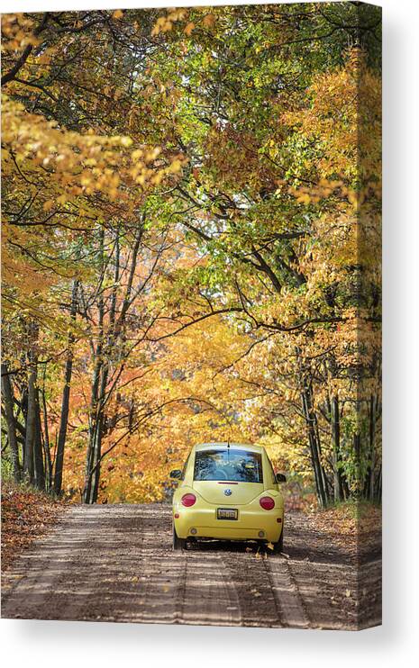 Autumn Canvas Print featuring the photograph Autumn Bug by John McGraw