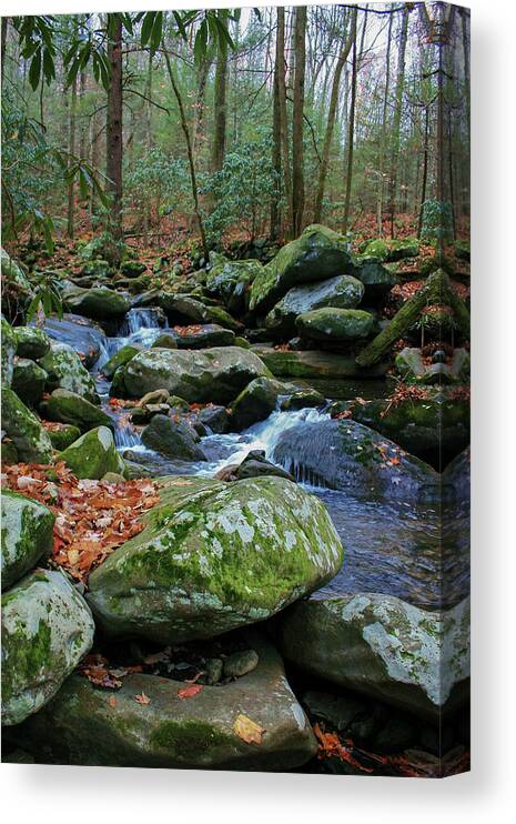 Photo For Sale Canvas Print featuring the photograph Autumn Cascade by Robert Wilder Jr