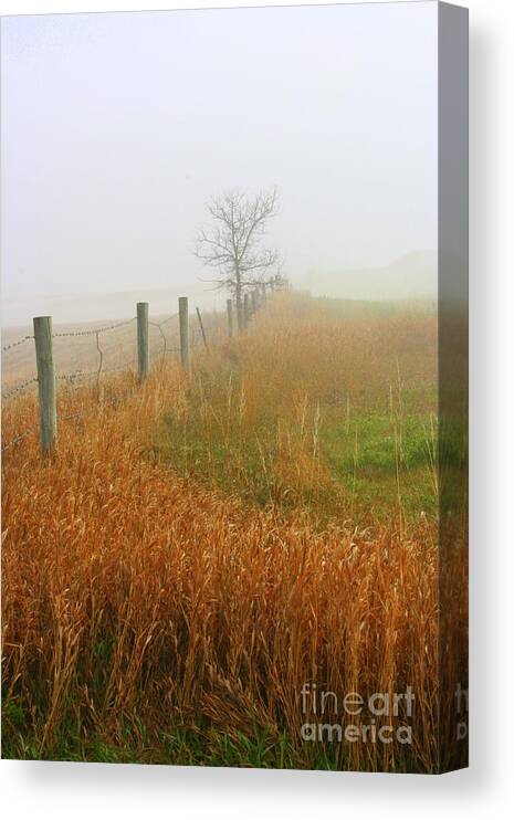 Fall Foggy Morning Canvas Print featuring the photograph Autumn Grasses by Julie Lueders 
