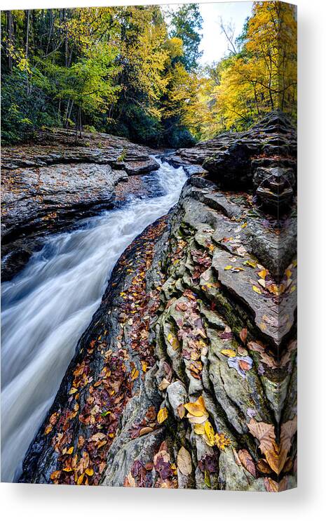 Appalachian Canvas Print featuring the photograph Autumn in the Appalachians by Matt Hammerstein